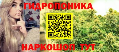 каннабис Гусев