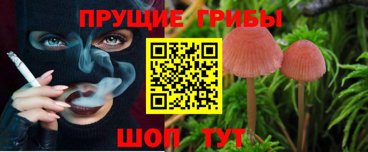 Псилоцибиновые грибы GOLDEN TEACHER  Вход с VPN  цены   Мценск 