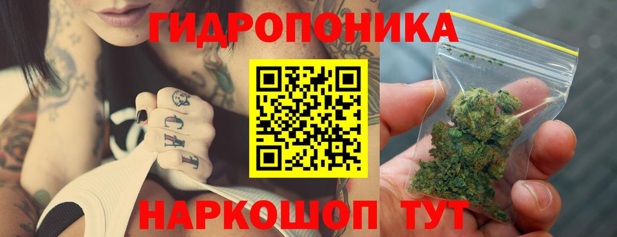 Канабис OG Kush Мценск